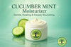 Cucumber Mint Moisturizer